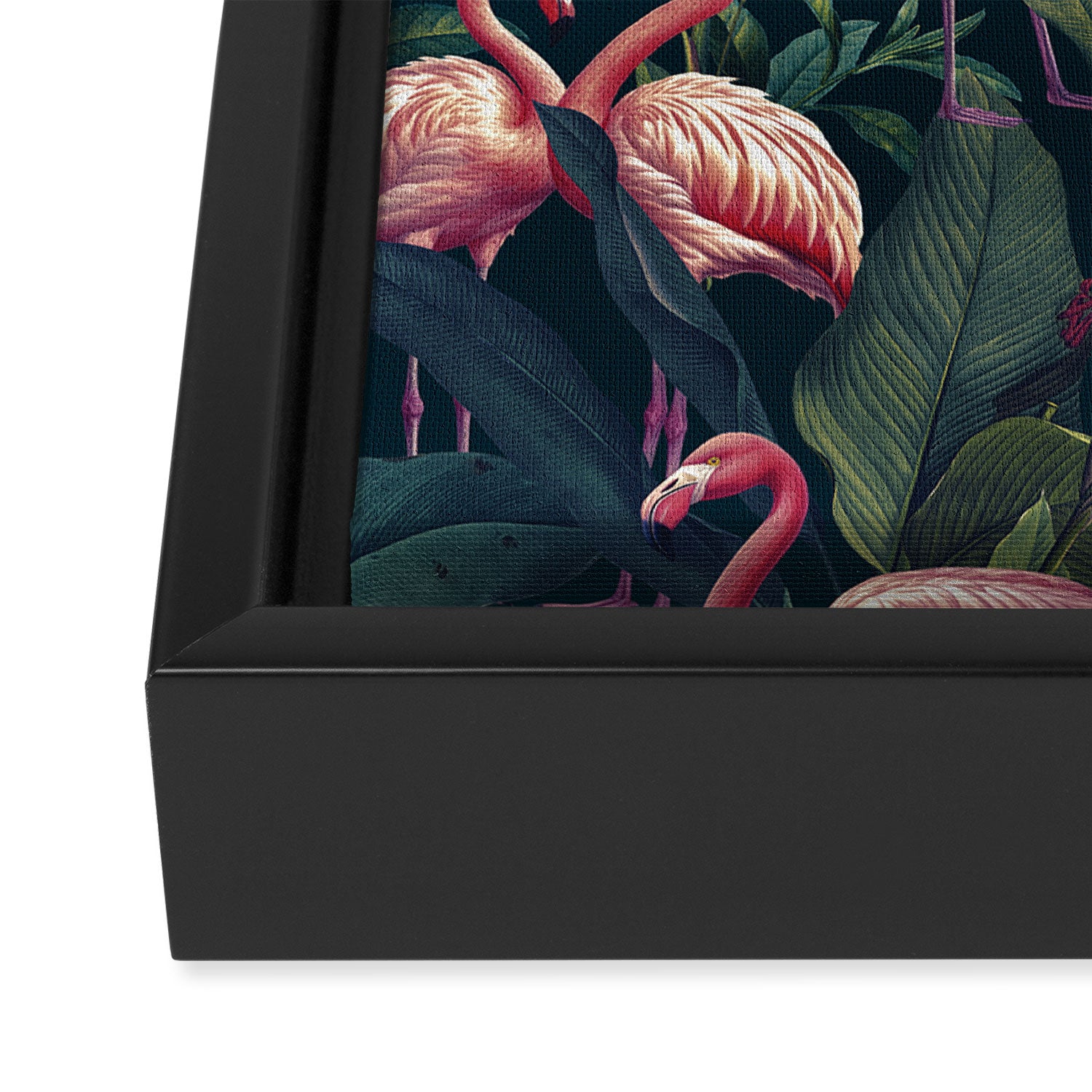 Tropical Flamingos Framed Canvas Print Gallery Image 3