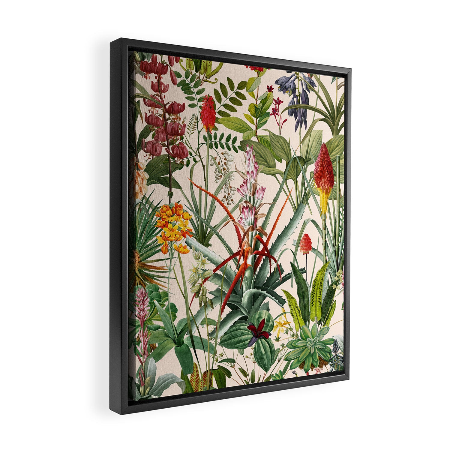 Tropical Flora II Framed Canvas Print Gallery Image 2