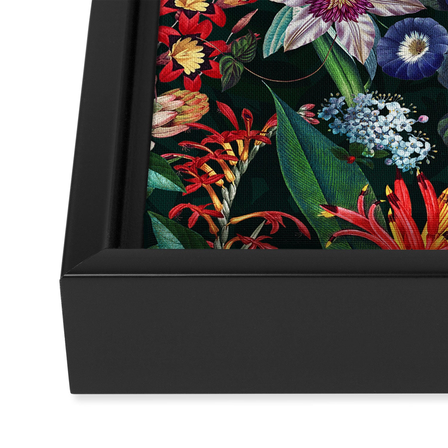 Tropical Flora - Night Framed Canvas Print Gallery Image 3