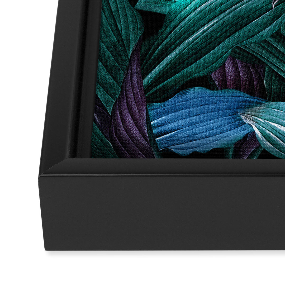 Tropical Magic Forest Framed Canvas Print Gallery Image 3