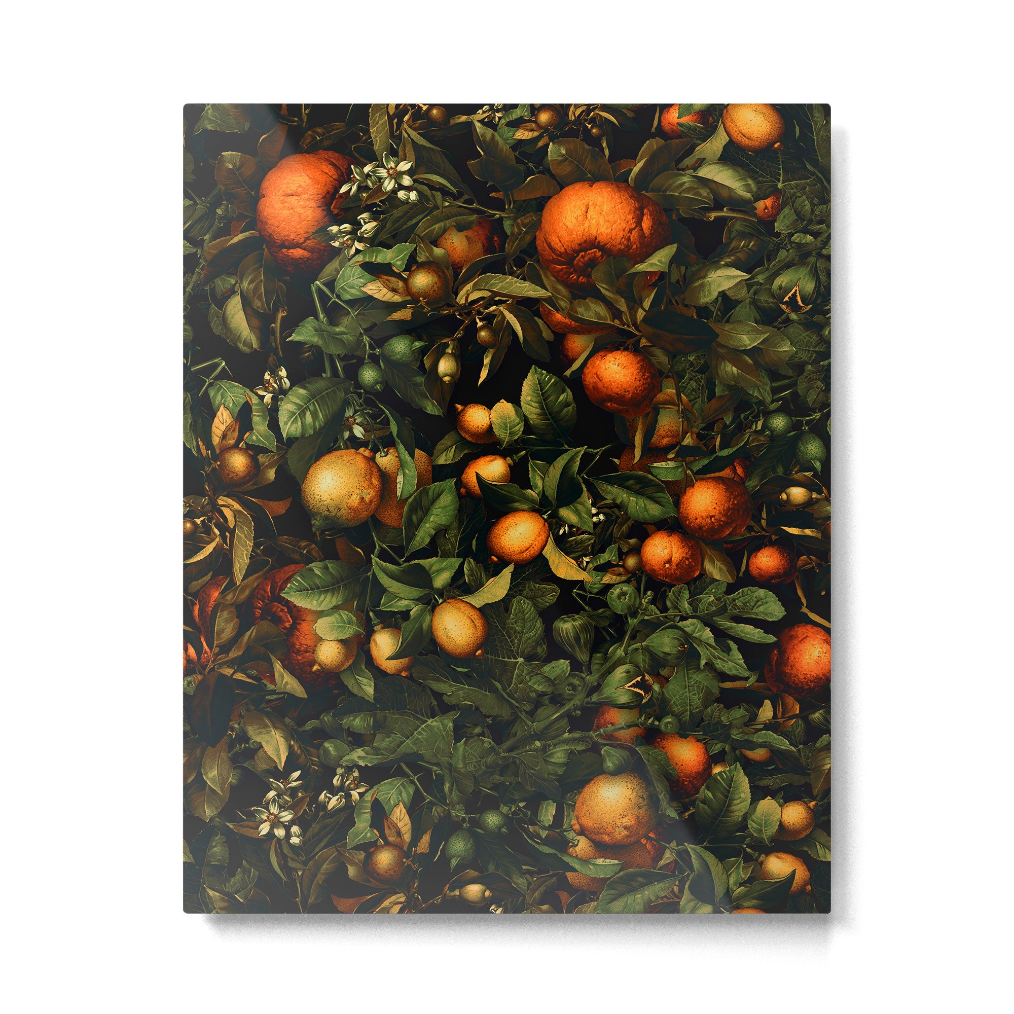 Vintage Fruit Pattern XX Metal Print Gallery Image 4