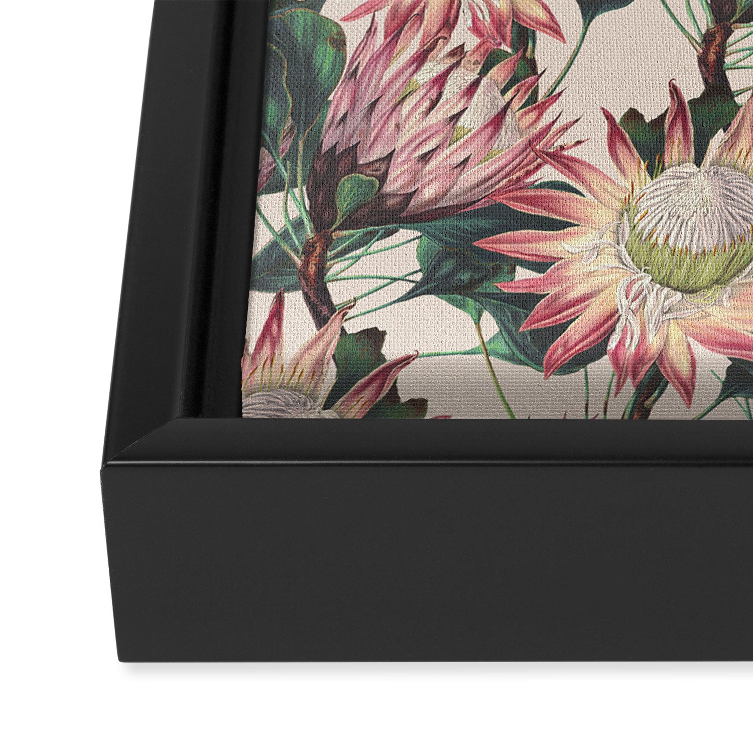 Vintage Garden XVI Framed Canvas Print Gallery Image 3