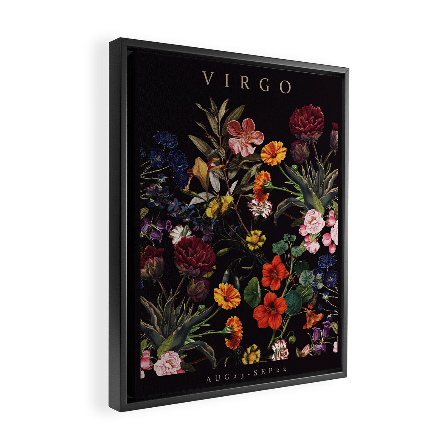 VIRGO II Framed Canvas Print Gallery Image 2