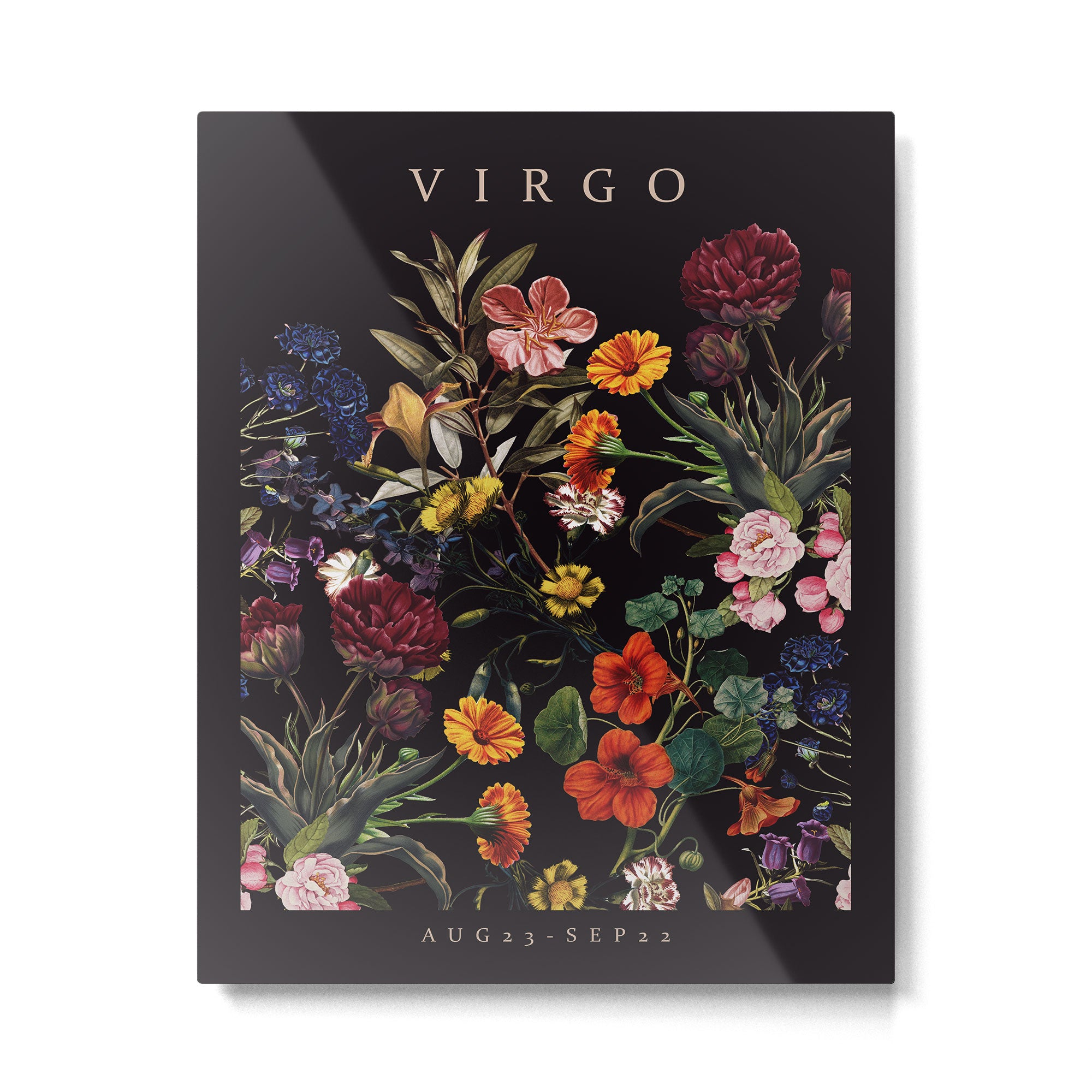 VIRGO II Metal Print Gallery Image 4