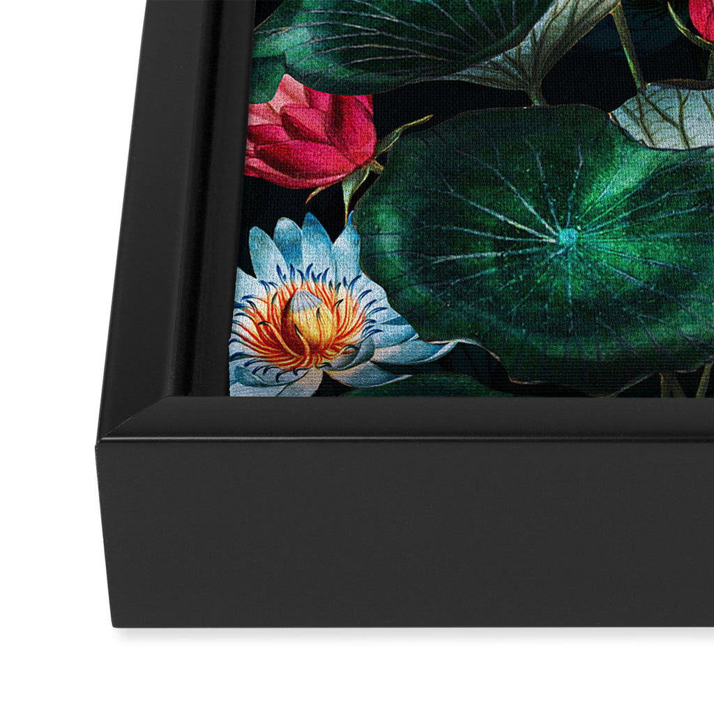 Water Lily - Night Framed Canvas Print Gallery Image 3