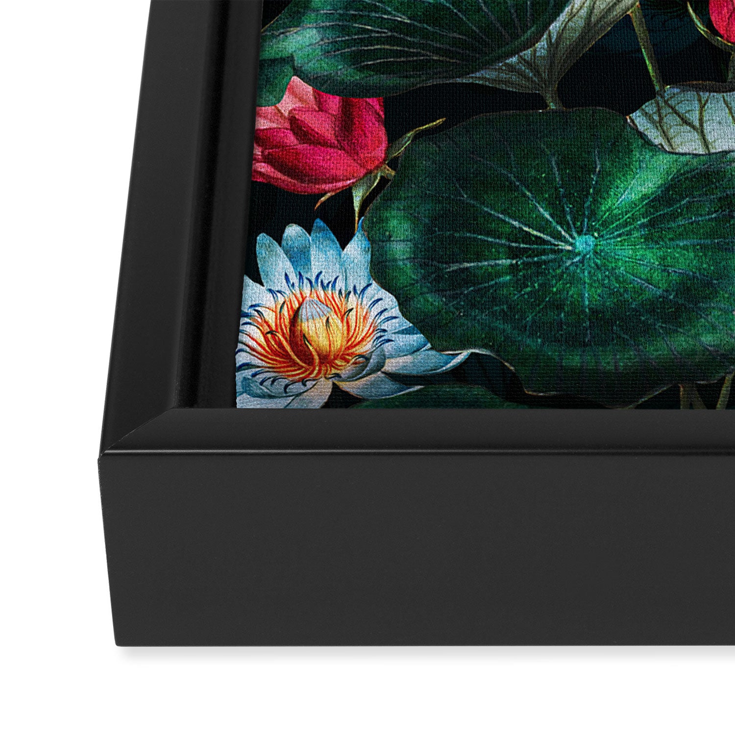Water Lily - Night Framed Canvas Print Gallery Image 3