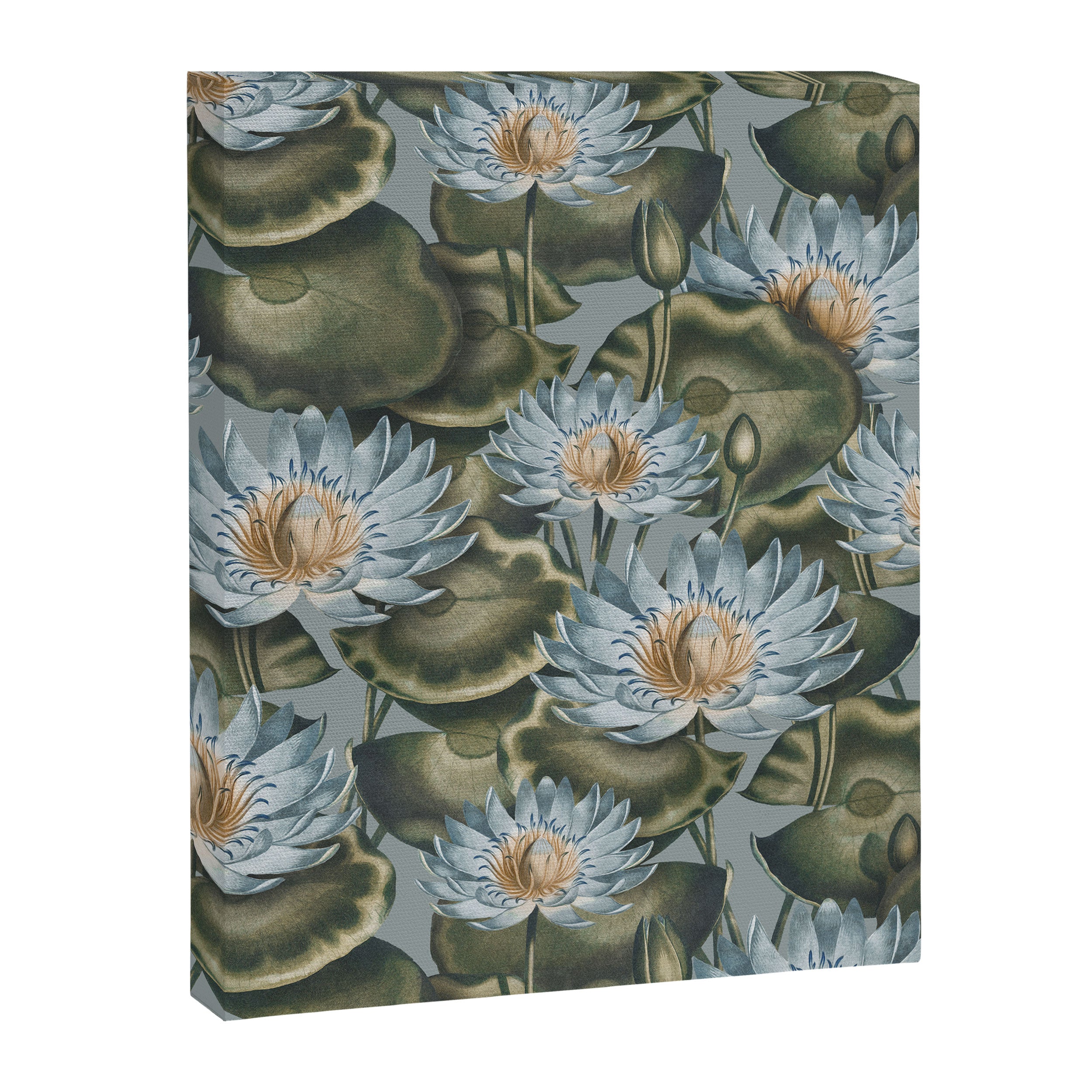 Water Lily (NYMPHAEA) Canvas Print Gallery Image 8