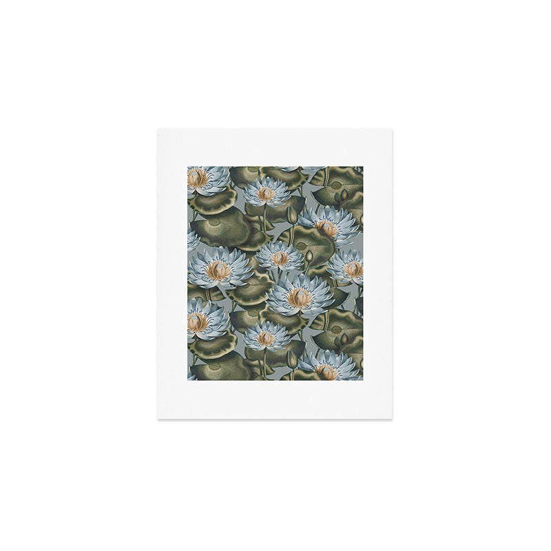 Water Lily (NYMPHAEA) Art Print Gallery Image 1