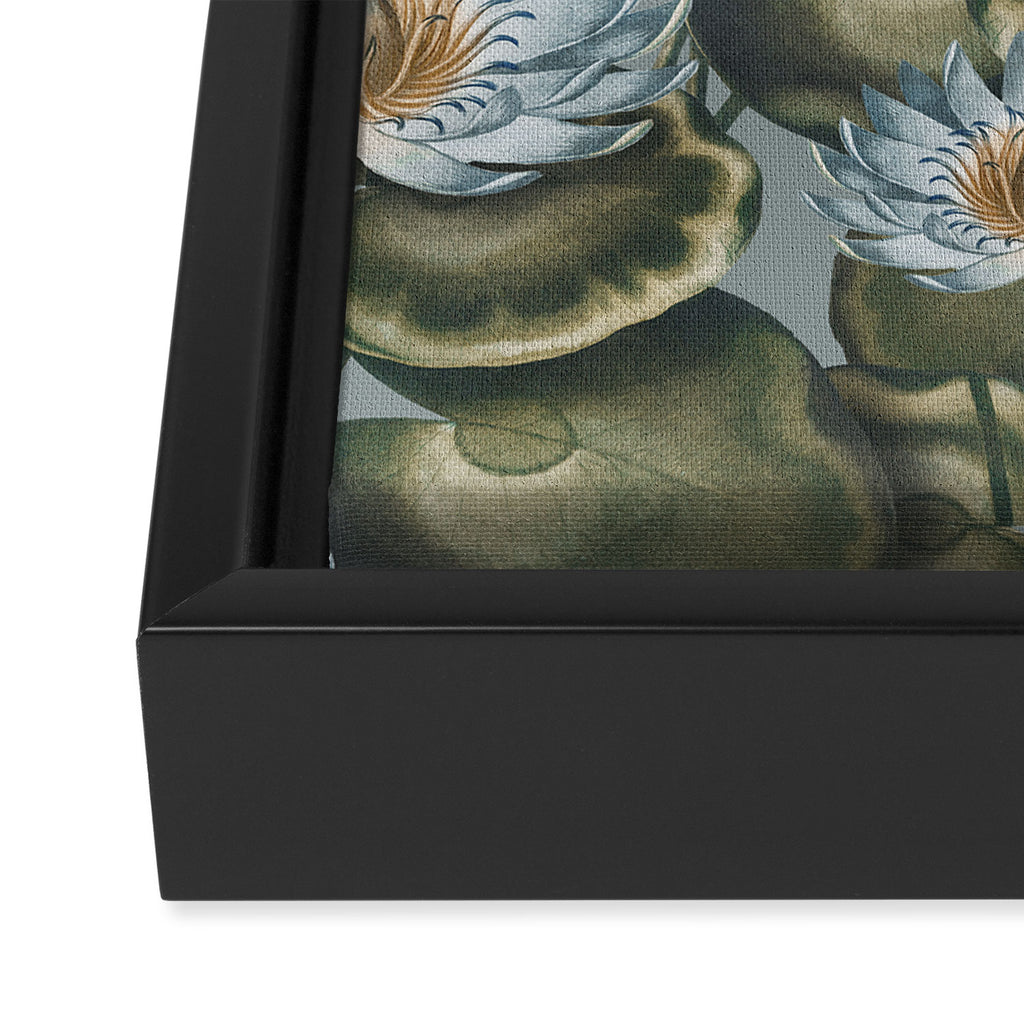 Water Lily (NYMPHAEA) Framed Canvas Print Gallery Image 3