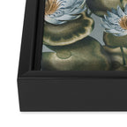 Water Lily (NYMPHAEA) Framed Canvas Print Gallery Image 3