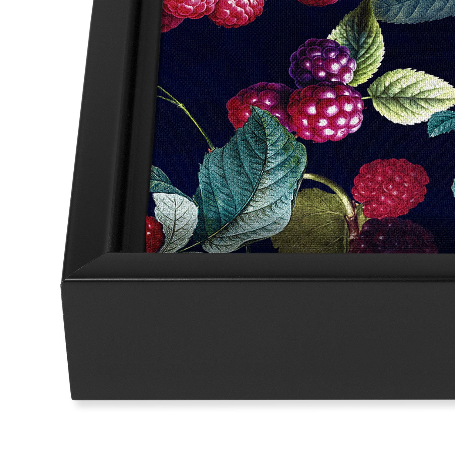 Wild Blackberry - Night  Framed Canvas Print Gallery Image 3