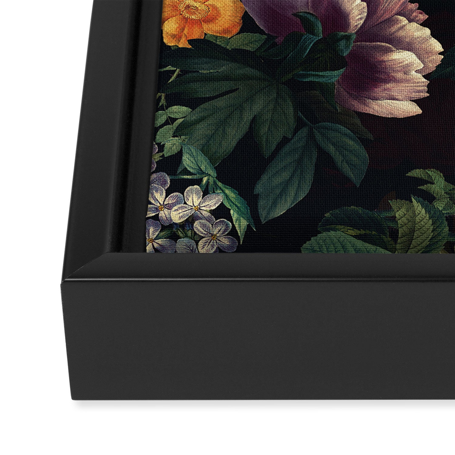 Witches Garden IV Framed Canvas Print Gallery Image 3