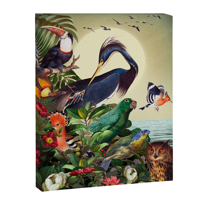 World of Birds Canvas Print Gallery Image 1