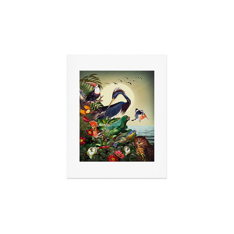World of Birds Art Print Gallery Image 1