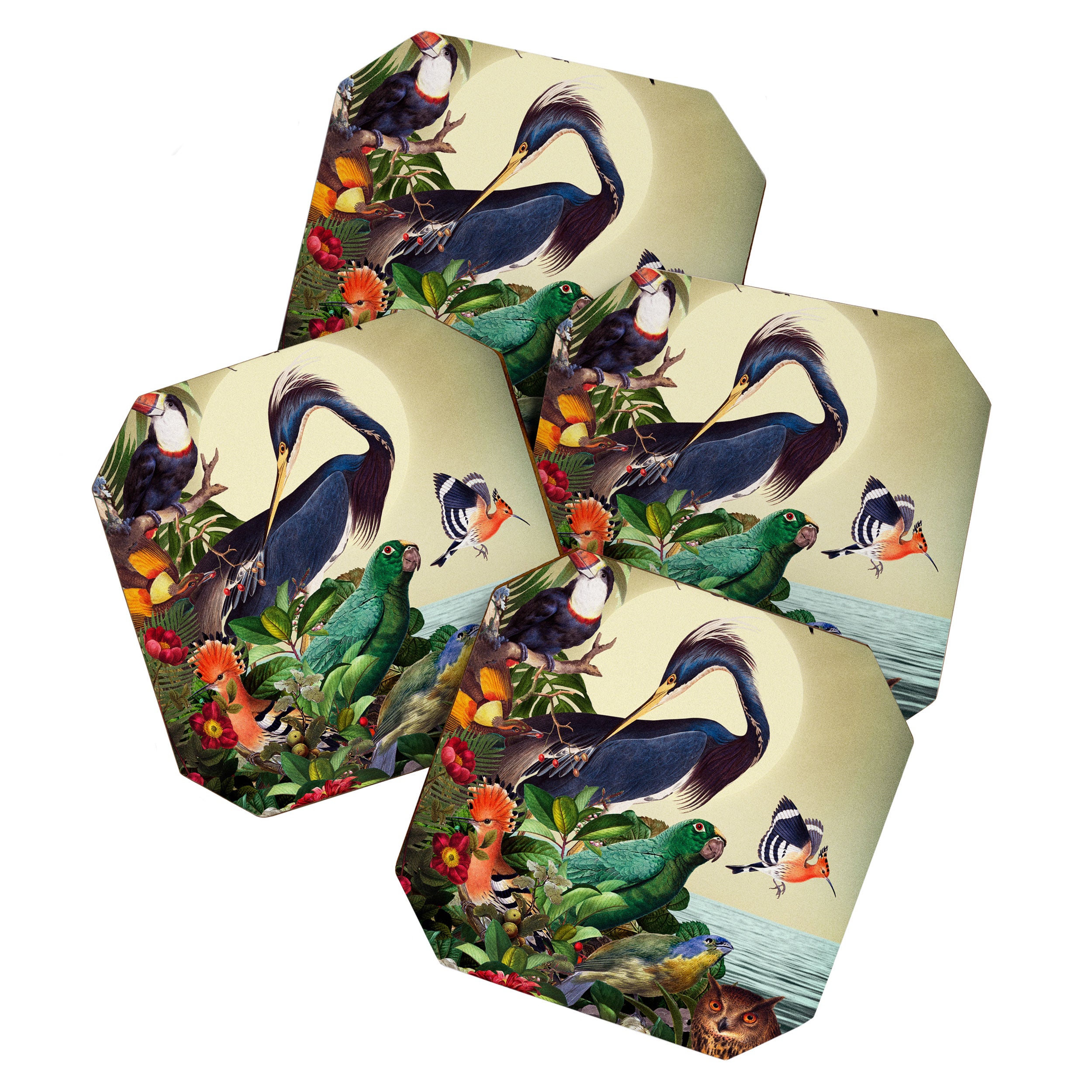 World of Birds Coaster Gallery Image 1