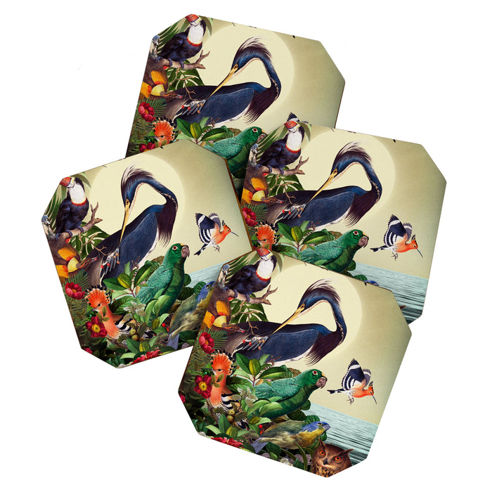 World of Birds Coaster Gallery Image 1
