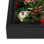 World of Birds Framed Canvas Print Gallery Image 3