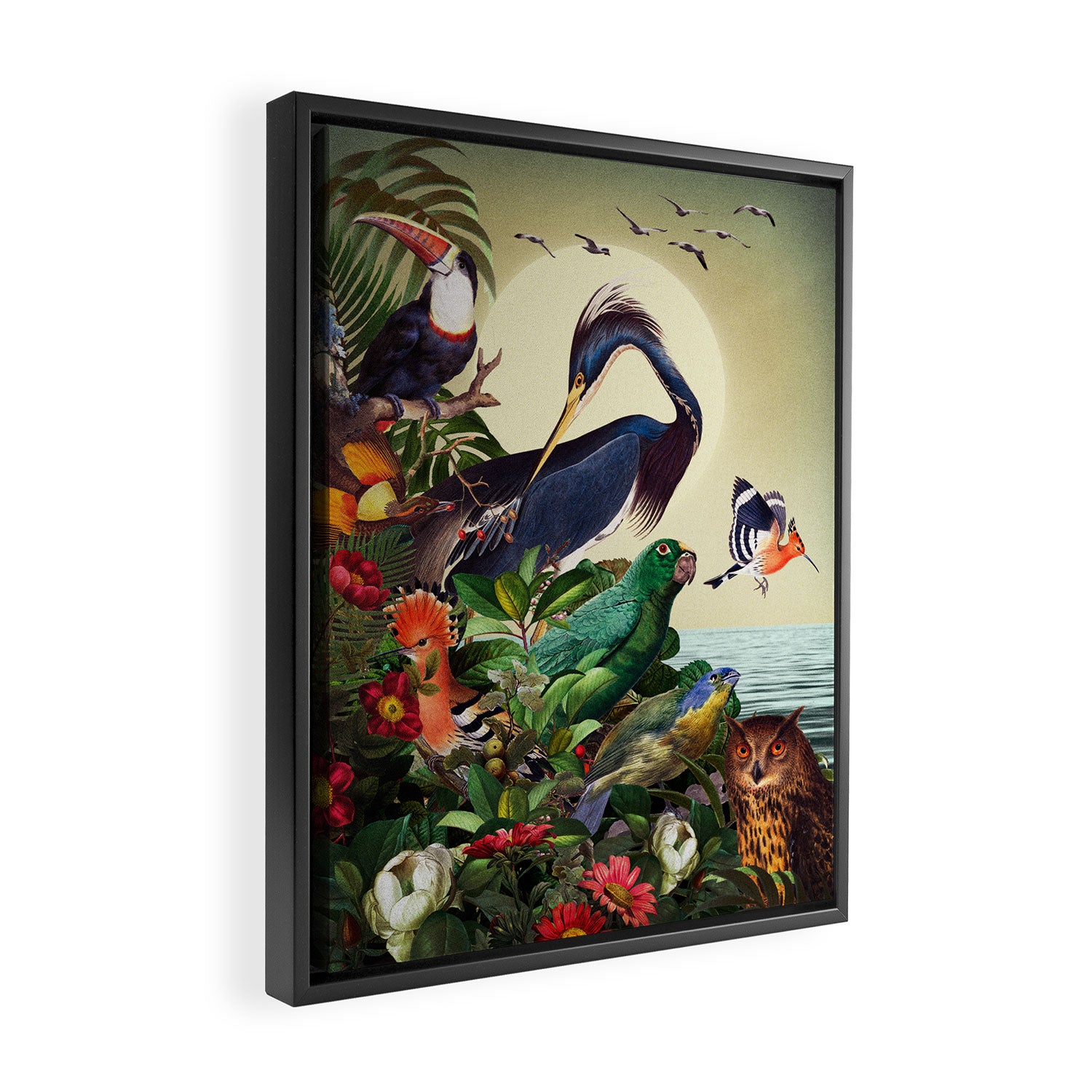 World of Birds Framed Canvas Print Gallery Image 2