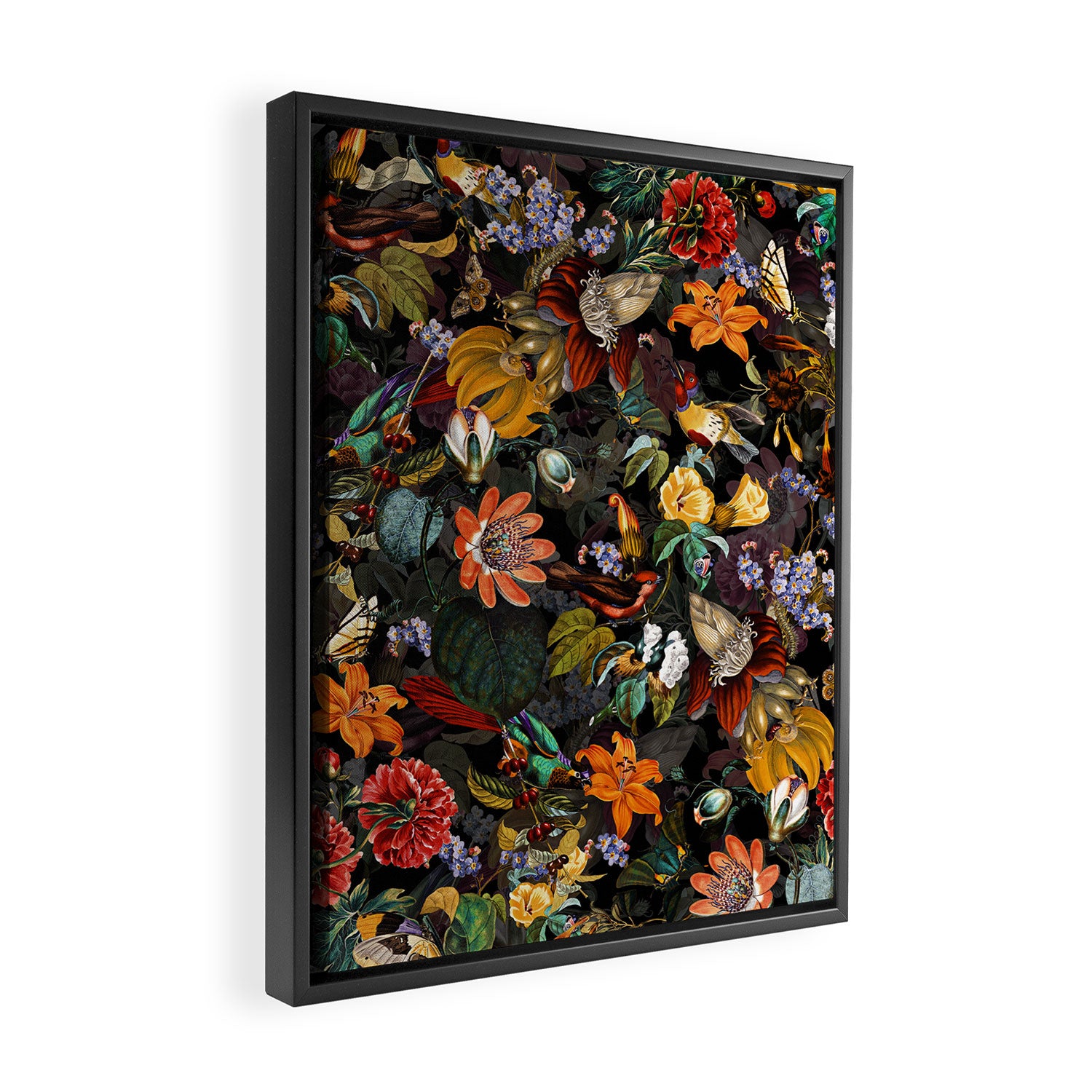 World of Birds IV Framed Canvas Print Gallery Image 2