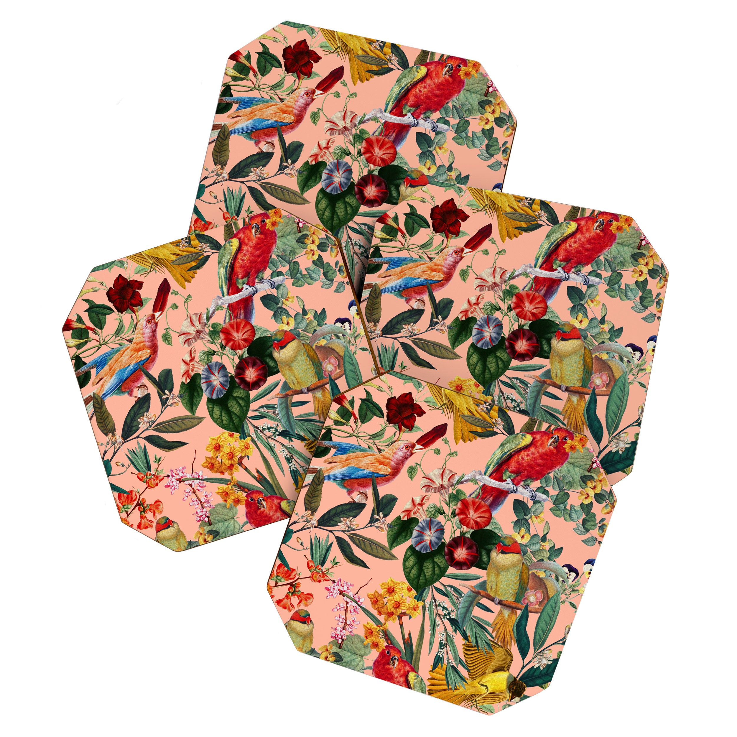 World of Birds IX Coaster Gallery Image 1