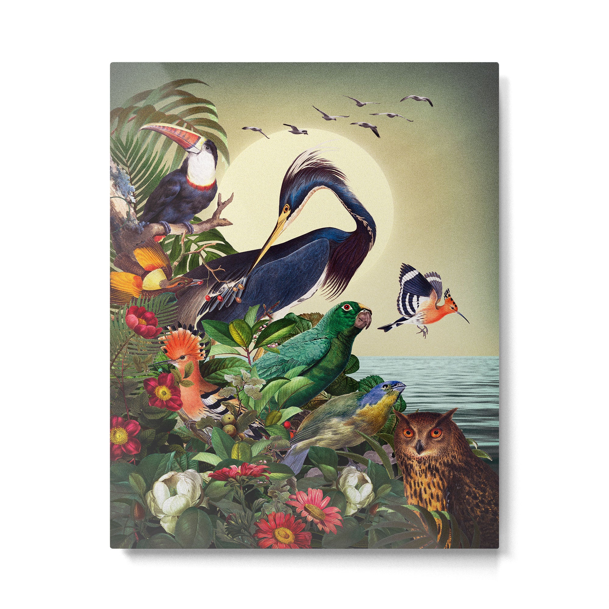 World of Birds Metal Print Gallery Image 4