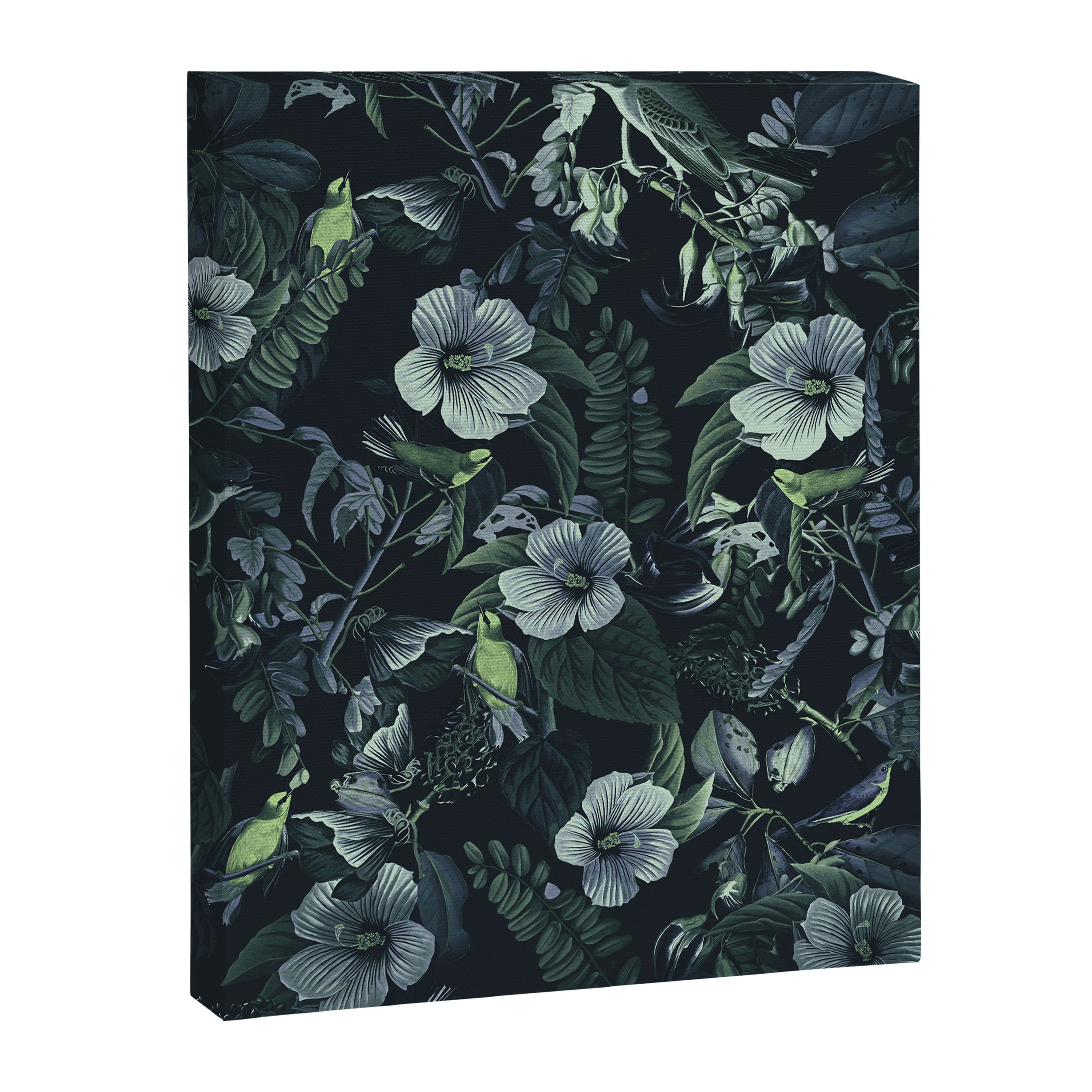 World of Birds V Canvas Print Gallery Image 6