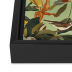 World of Birds VII Framed Canvas Print Gallery Image 3