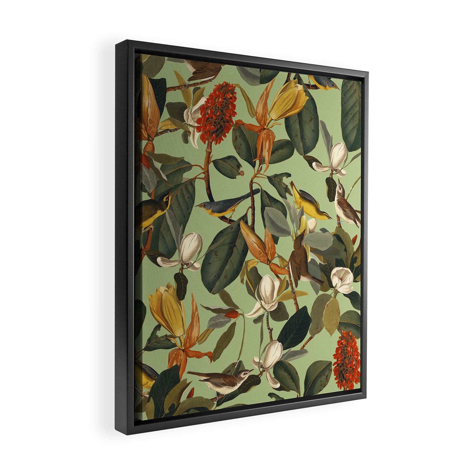 World of Birds VII Framed Canvas Print Gallery Image 2