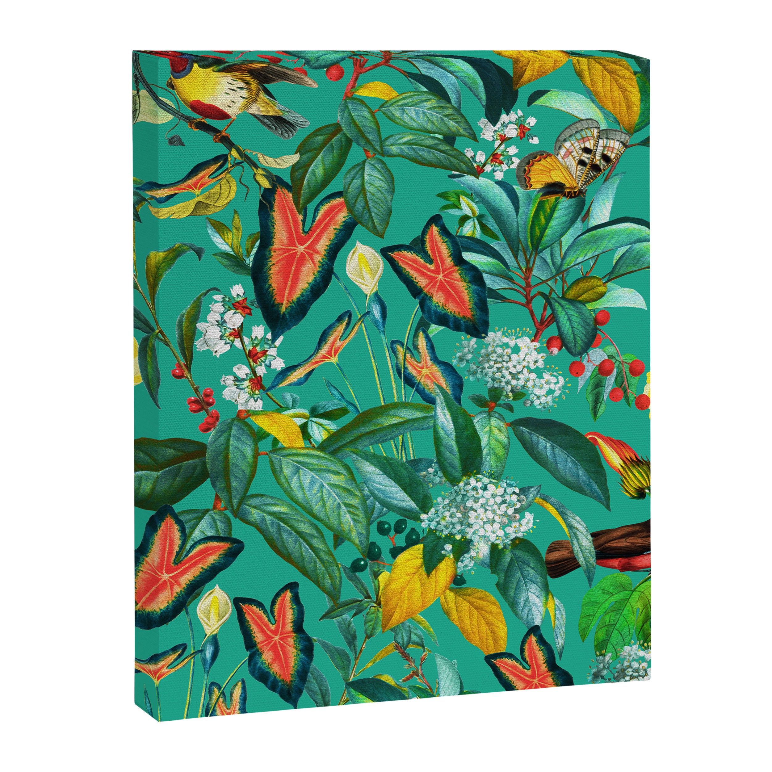 World of Birds X Canvas Print Gallery Image 6