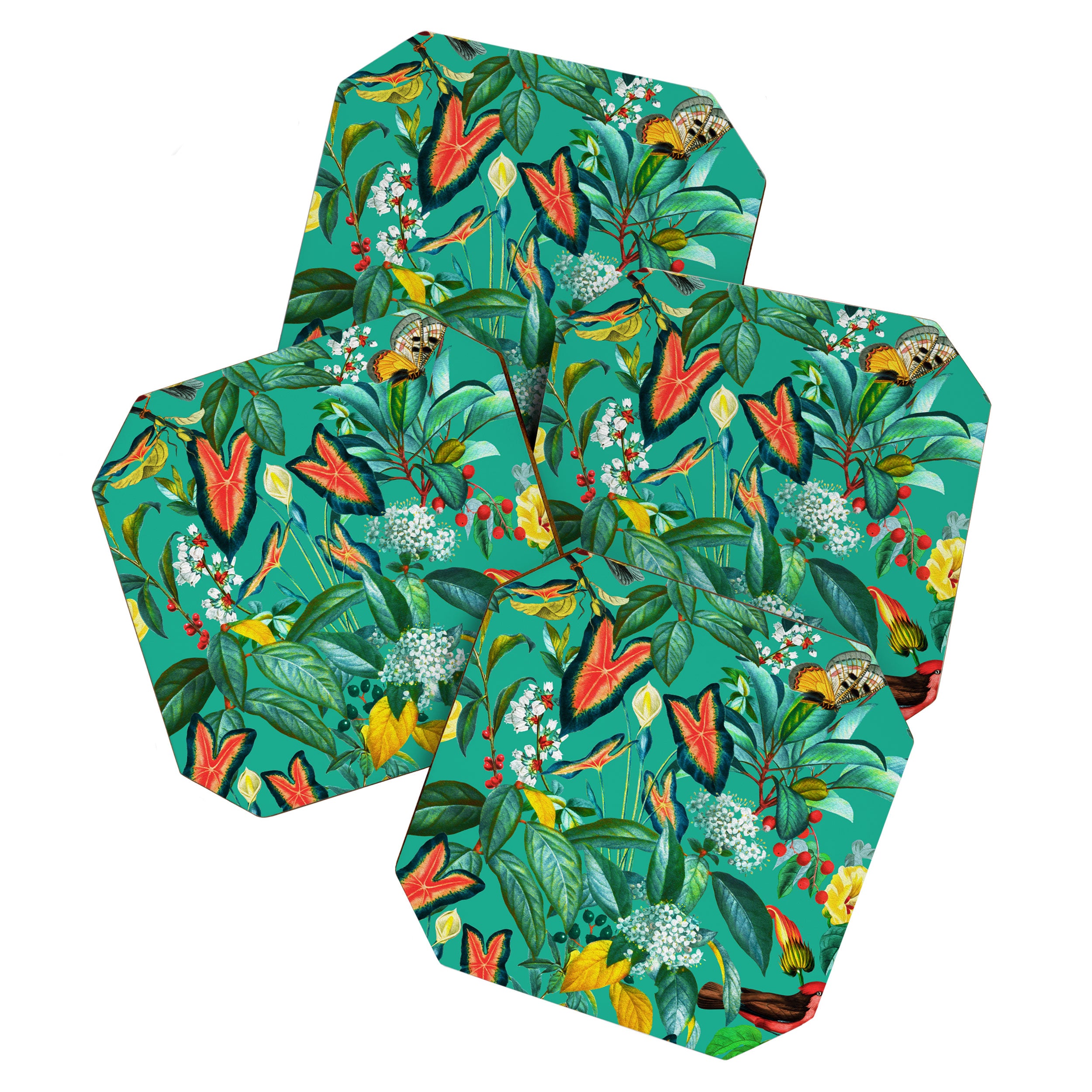 World of Birds X Coaster Gallery Image 1