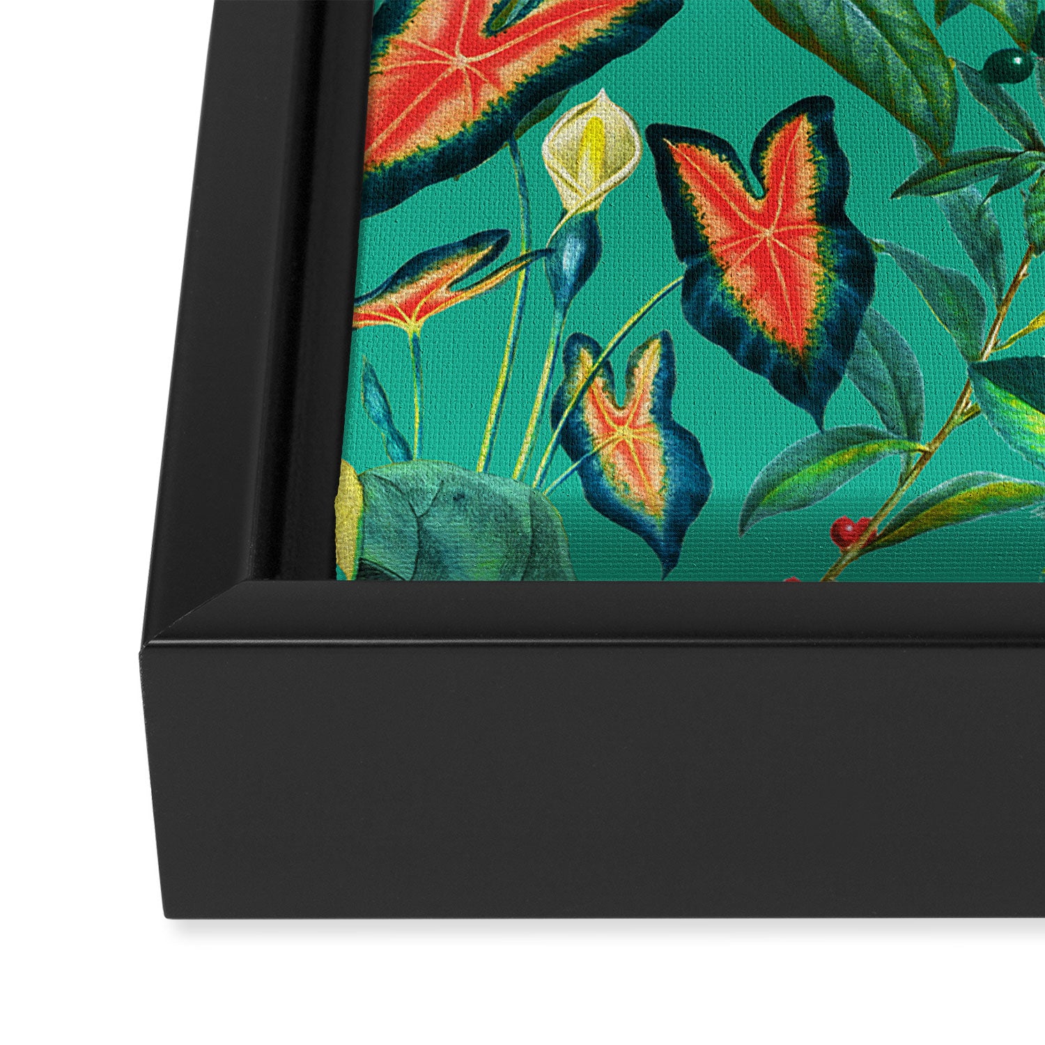 World of Birds X Framed Canvas Print Gallery Image 3