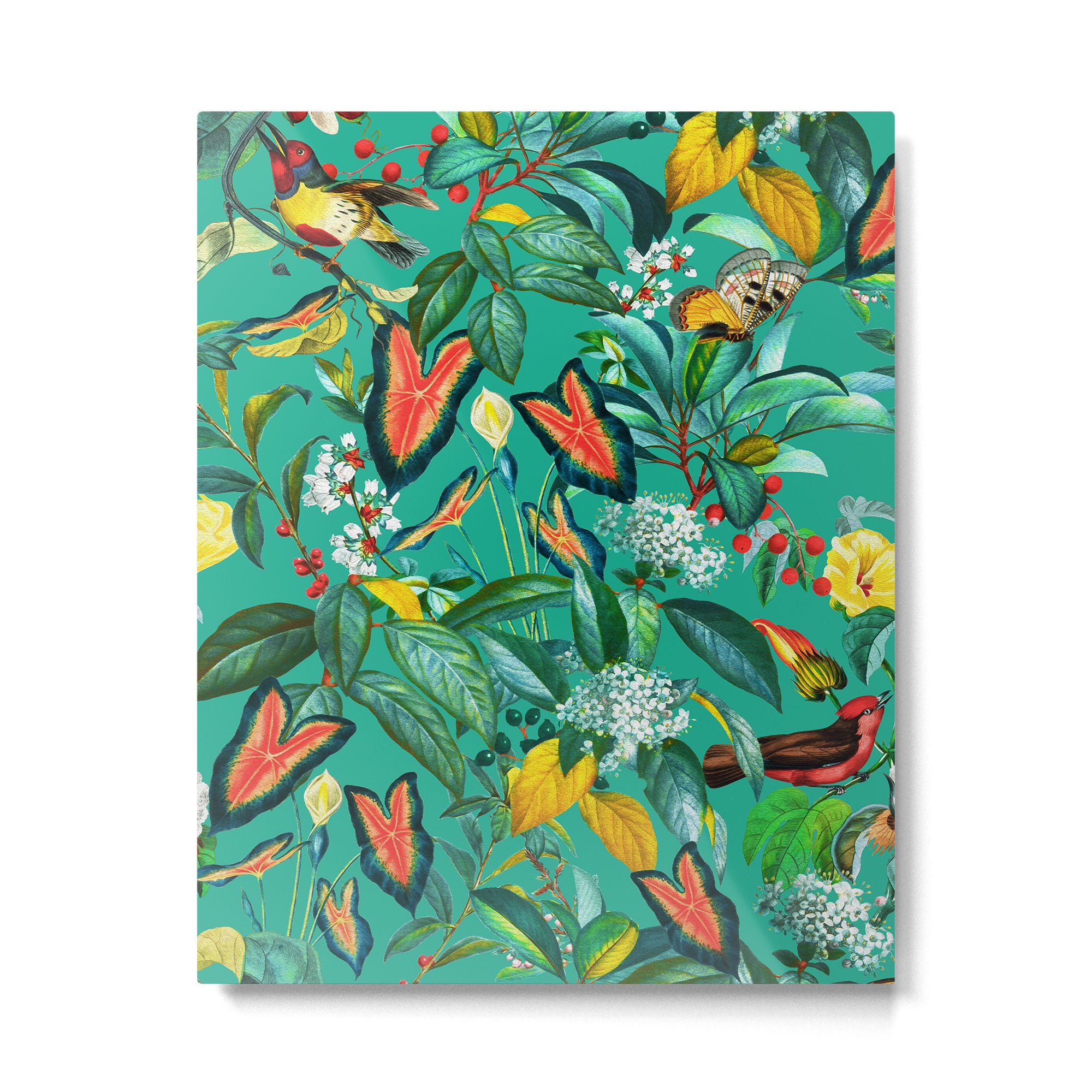World of Birds X Metal Print Gallery Image 4