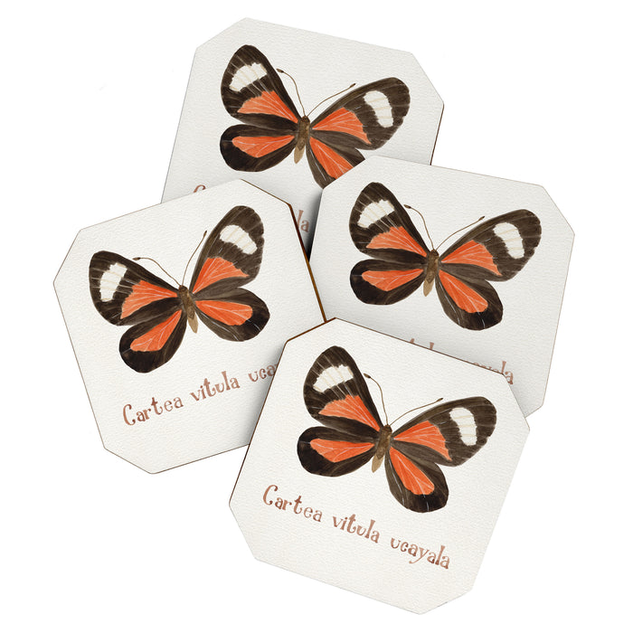 Butterfly - Cartea vitula ucayala Coaster Gallery Image 1