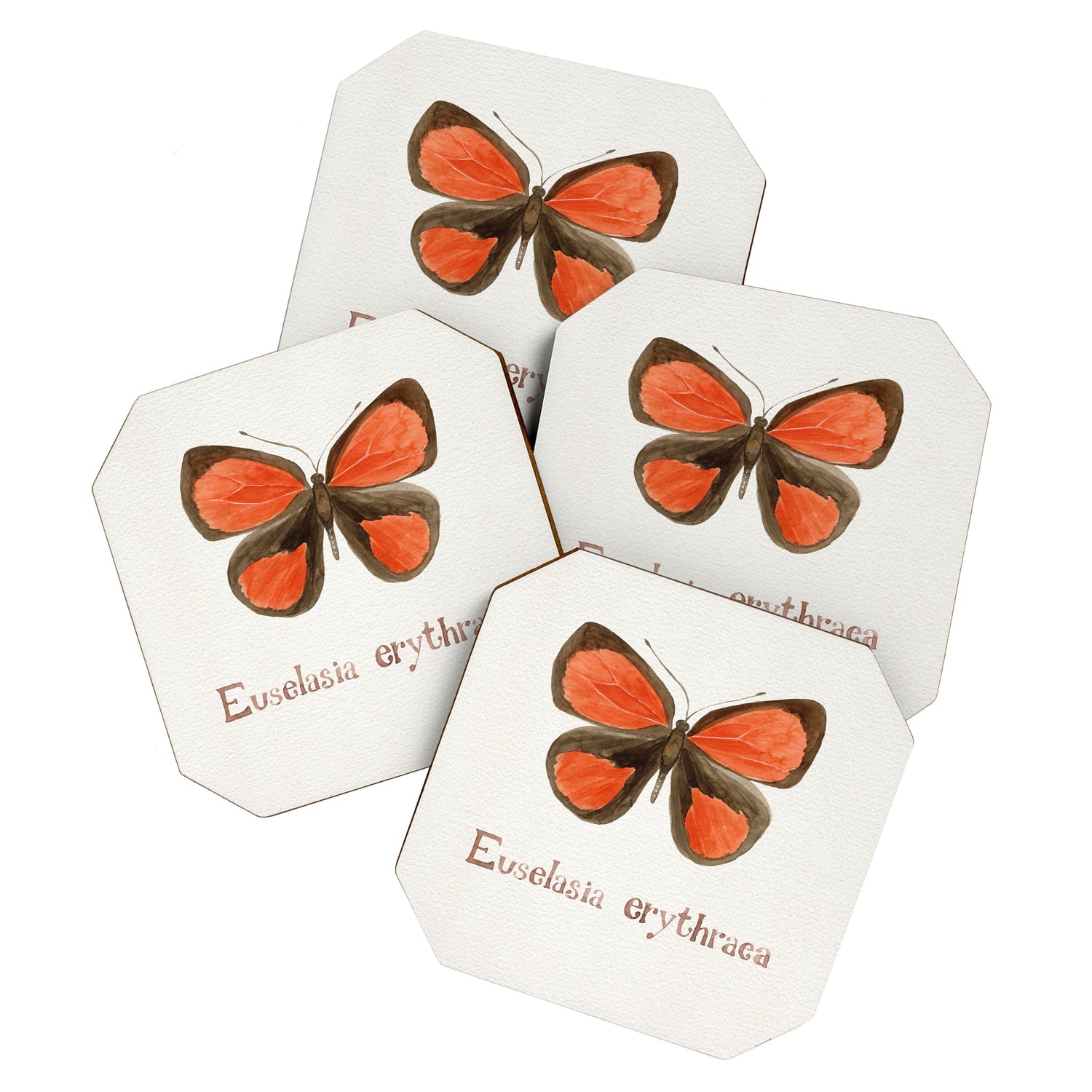 Butterfly - Euselasia erythraea Coaster Gallery Image 1