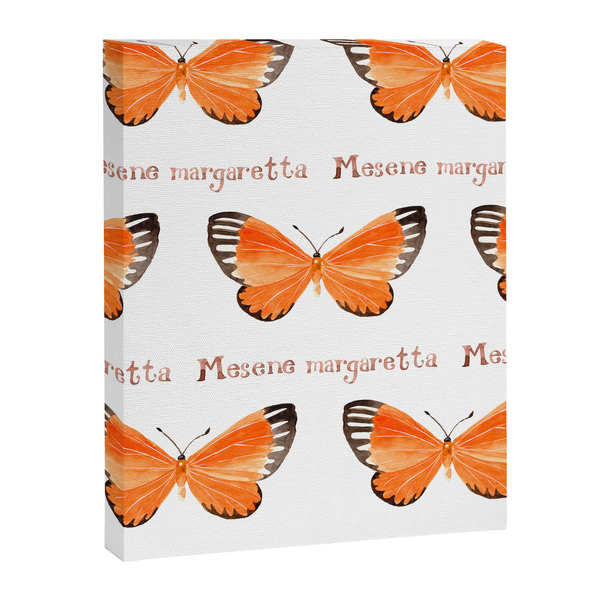 Butterfly - Mesene margaretta Canvas Print Gallery Image 8