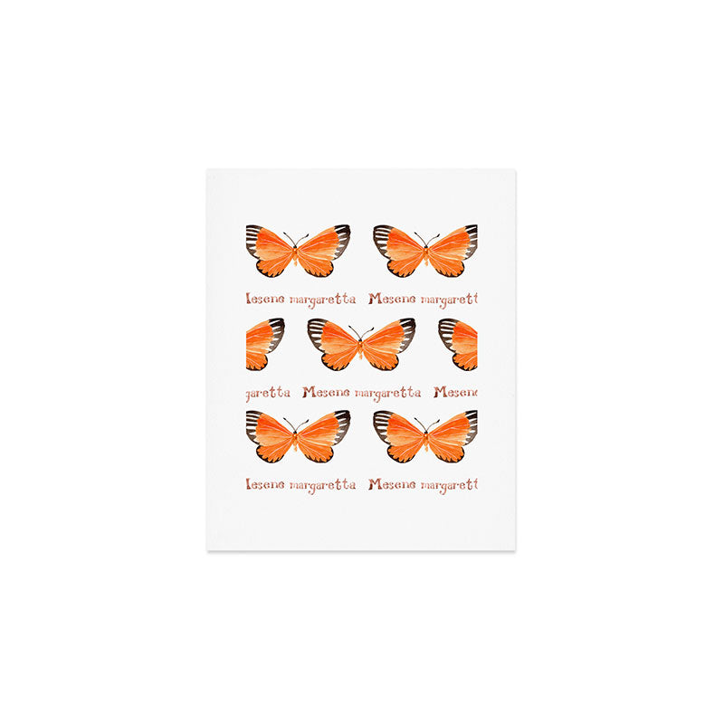Butterfly - Mesene margaretta Art Print Gallery Image 1