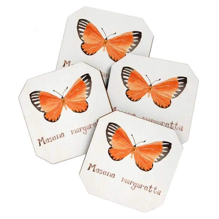 Butterfly - Mesene margaretta Coaster Gallery Image 1
