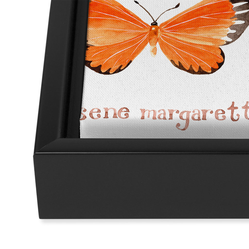 Butterfly - Mesene margaretta Framed Canvas Print Gallery Image 3