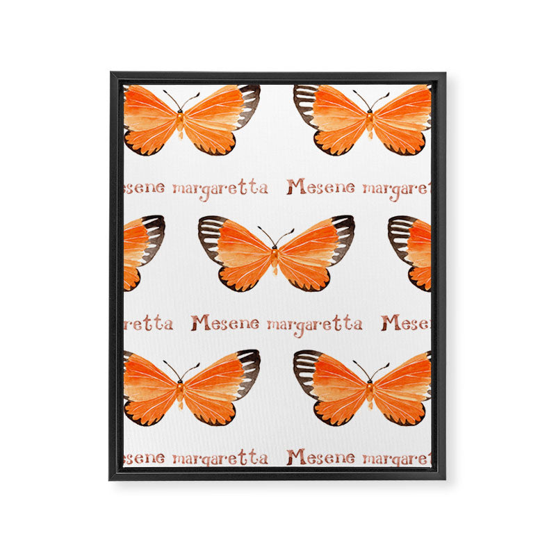 Butterfly - Mesene margaretta Framed Canvas Print Gallery Image 8