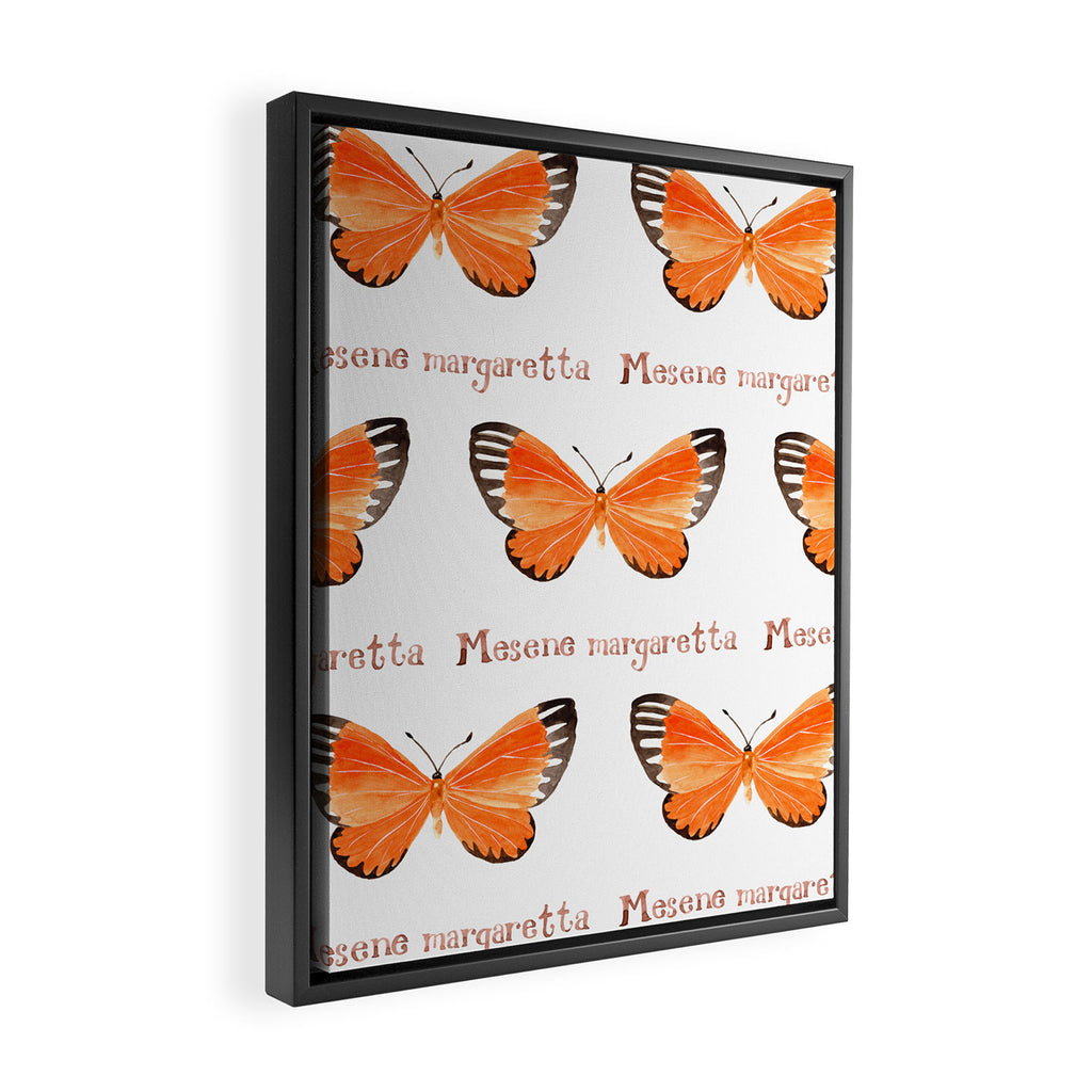 Butterfly - Mesene margaretta Framed Canvas Print Gallery Image 2