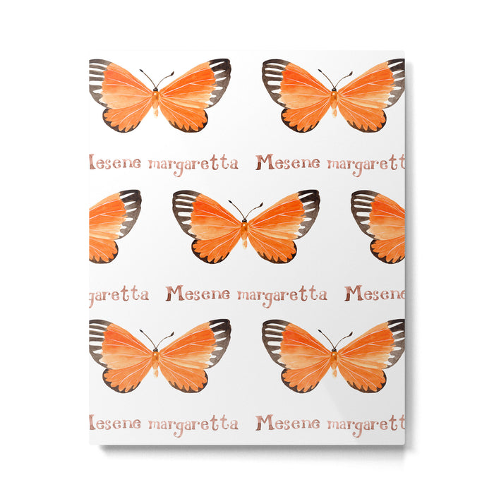 Butterfly - Mesene margaretta Metal Print Gallery Image 1