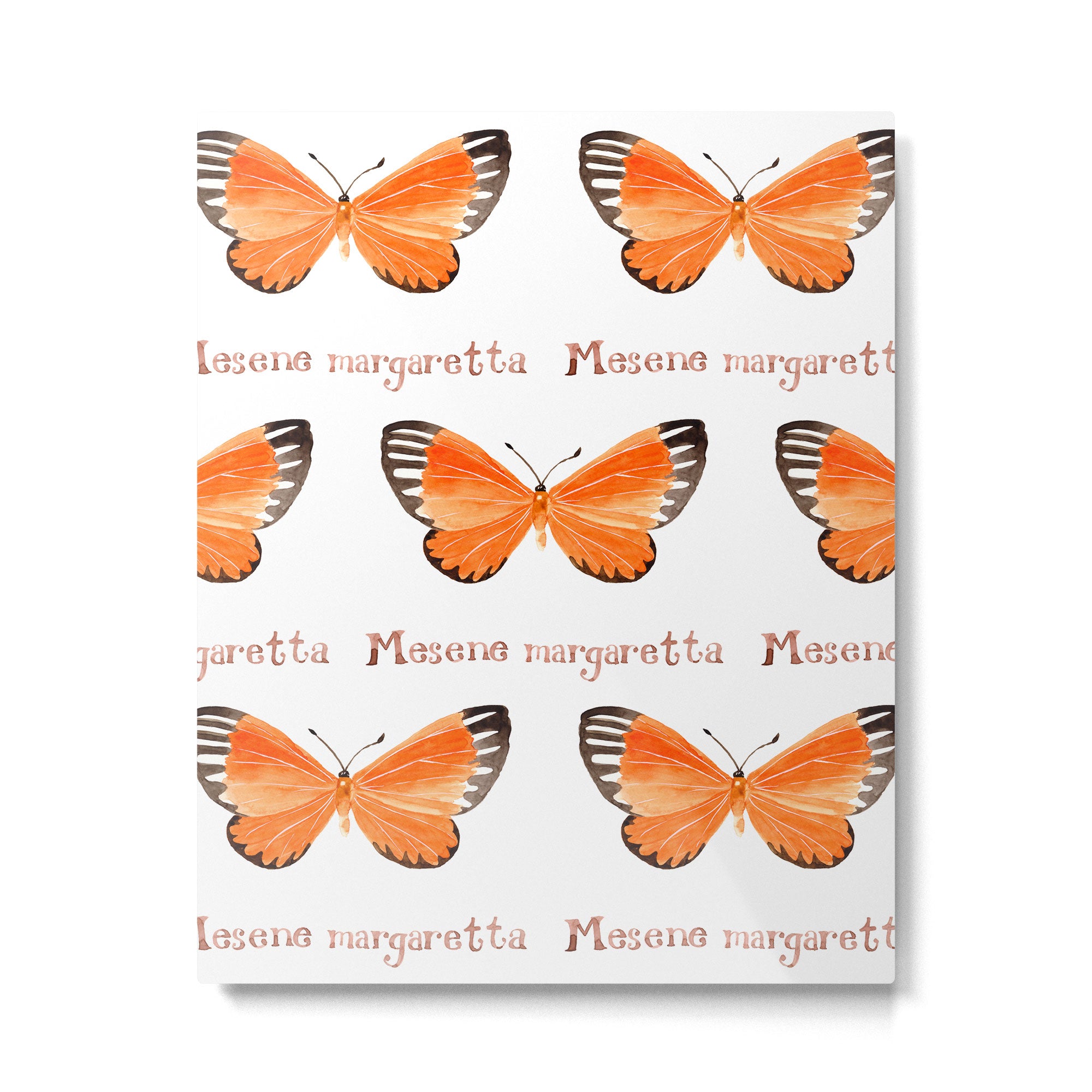 Butterfly - Mesene margaretta Metal Print Gallery Image 6