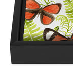 Ferns and Butterflies Framed Canvas Print Gallery Image 3