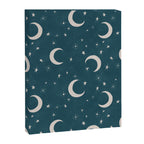 Goodnight Sky - silver moon Canvas Print Gallery Image 8