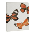 Orange Butterflies Canvas Print Gallery Image 8