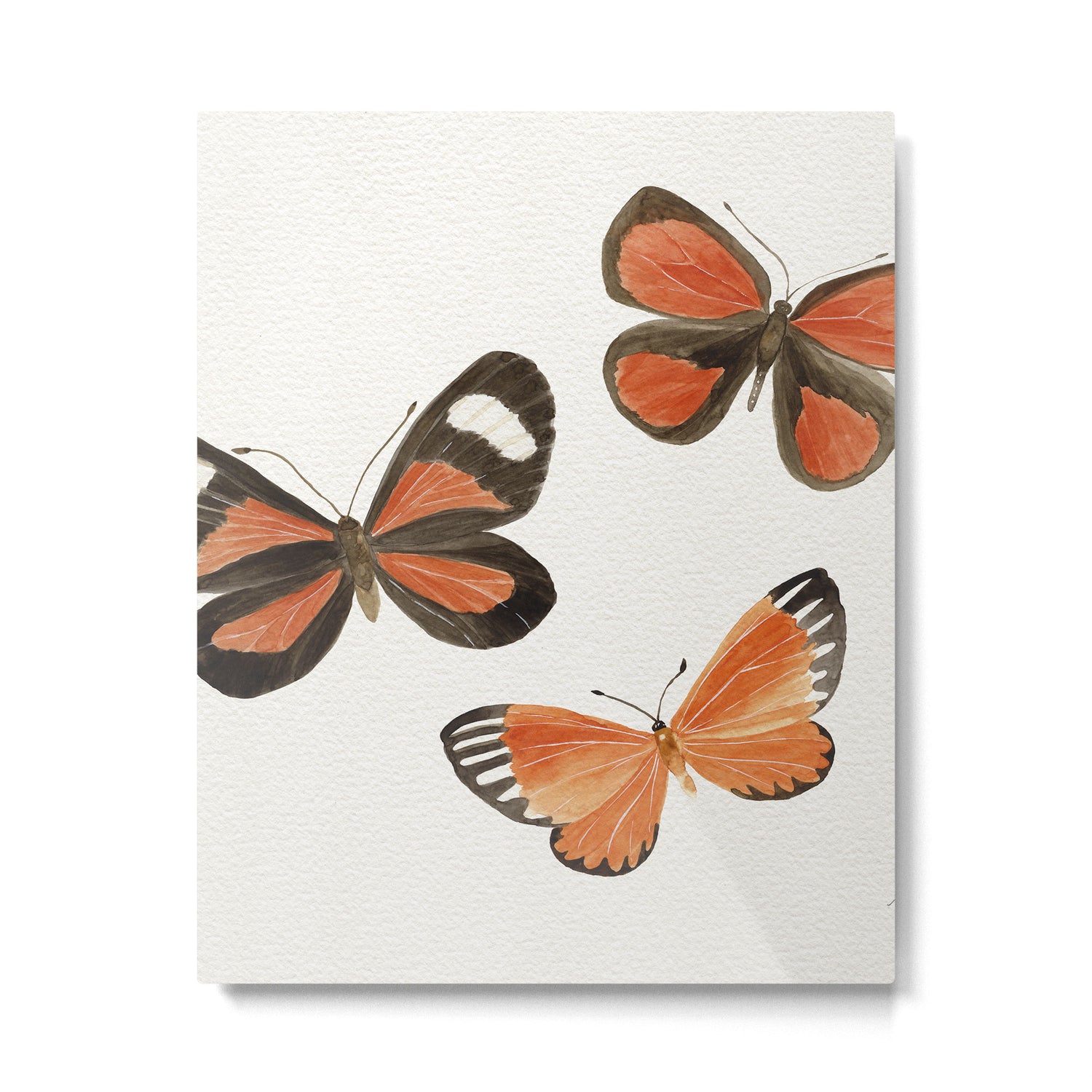 Orange Butterflies Metal Print Gallery Image 6