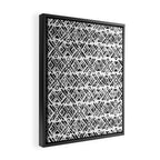 Sonoran Stripe - Black&White Framed Canvas Print Gallery Image 2