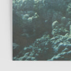 Mermaid Poster Gallery Image 3