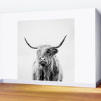 portrait of a highland cow Wall Mural Gallery Image 2