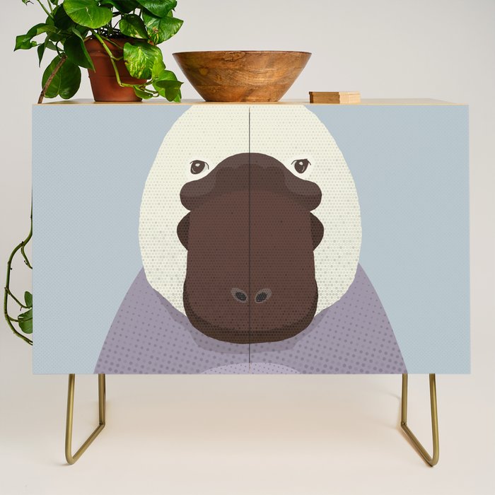 Whimsy Platypus, Animal Portrait Credenza Gallery Image 1